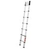 Telesteps Eco-Line Ladder 3,8m